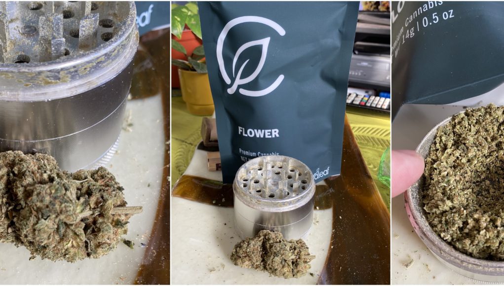 curaleaf-flower-review curaleaf flower review