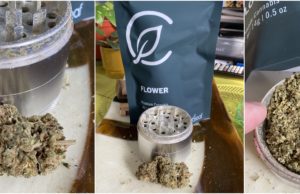 curaleaf flower review