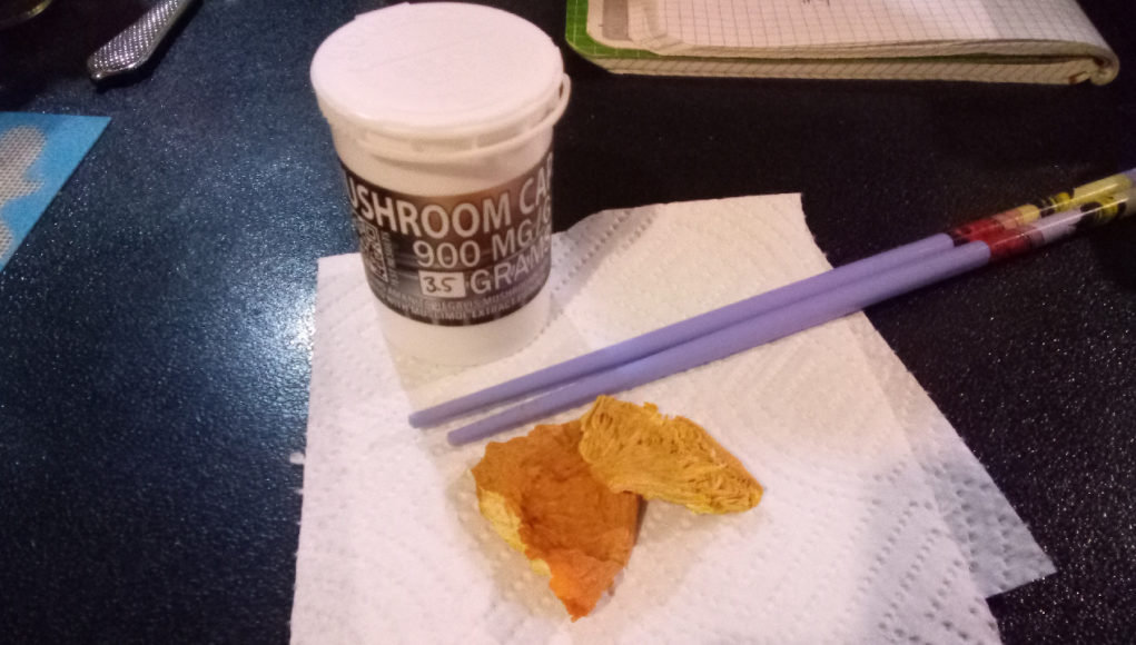 Amanita-Regalis-Boom-Boyz Amanita-Regalis-Boom-Boyz