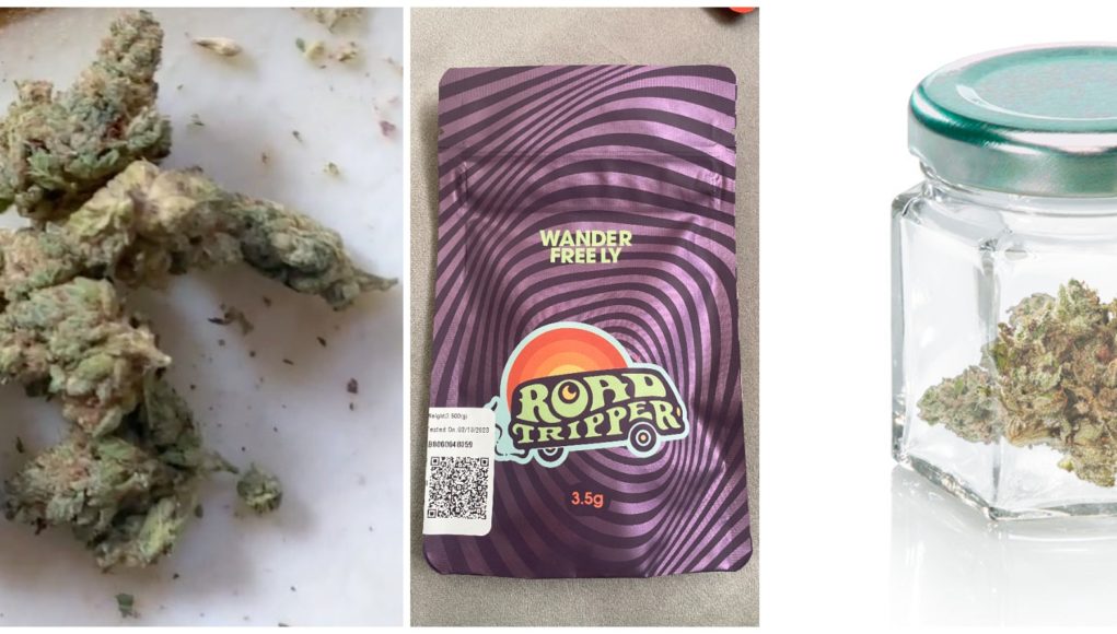 road-tripper-flower-review road tripper flower review