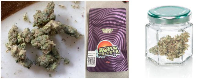 road tripper flower review