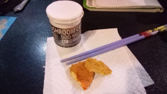 Boom Boyz Amanita Regalia Caps | An Exploration Amanita-Regalis-Boom-Boyz