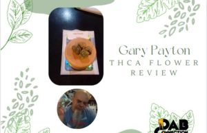 THCA-Gary-Payton-flower