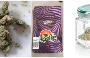 road tripper flower review