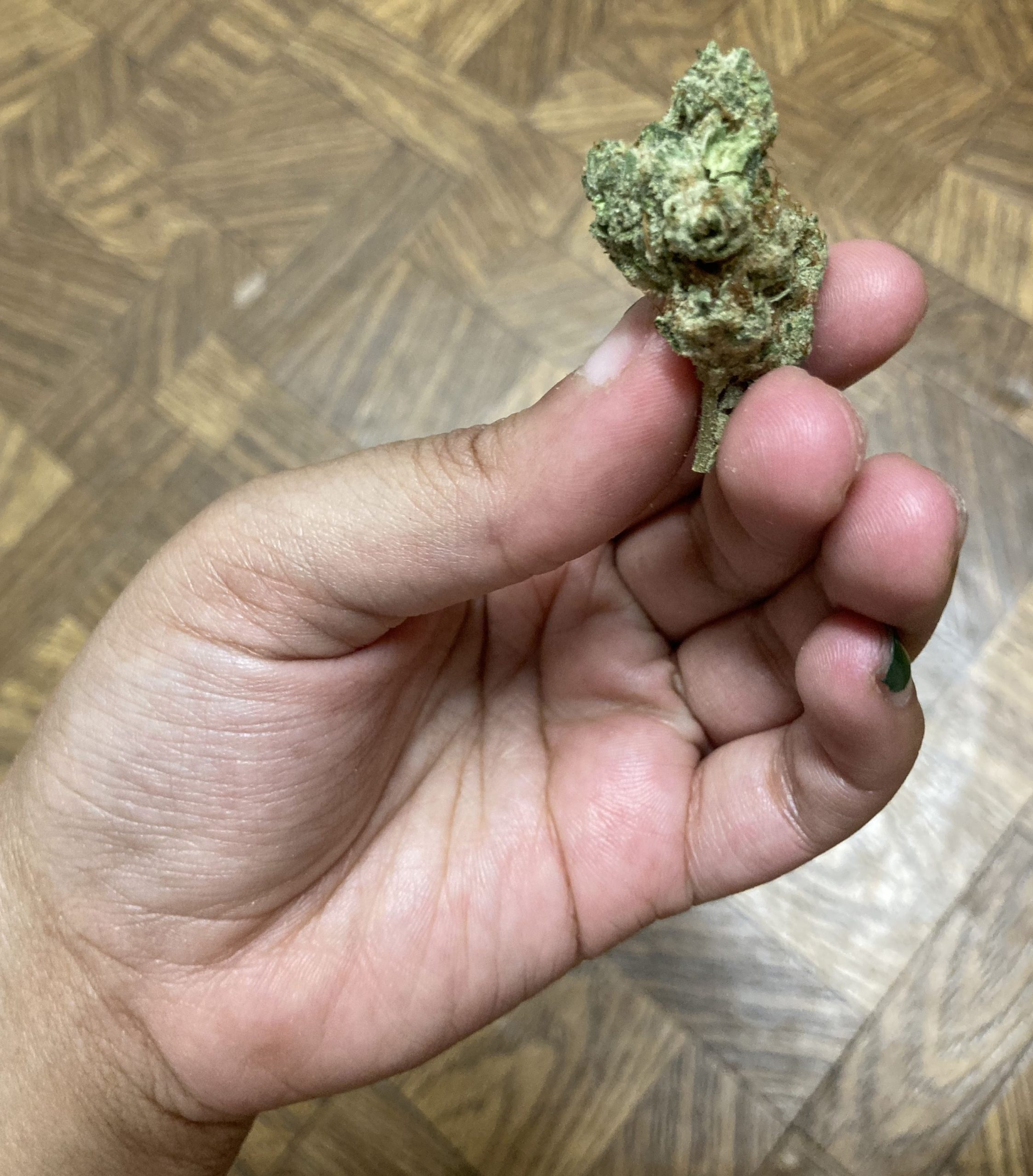 93 Boyz Review HighQuality Smoke For a Cause