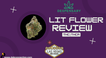 LIT Flower Review – Great Cure and Smell
