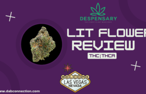 lit flower review