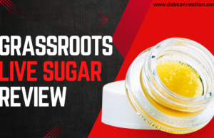 Grassroots Live Sugar Review – Long-lasting and Pleasant Taste grassroots live sugar review