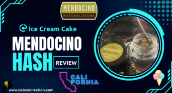 Mendocino Hash Review – Superb Flavor and Potency