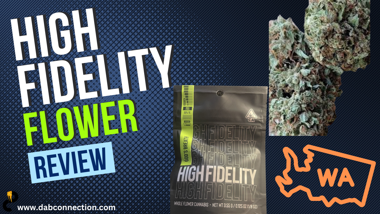 Fidelity Review