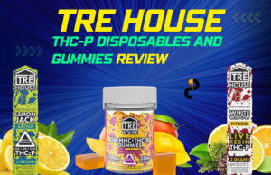 tre house disposables thcp review