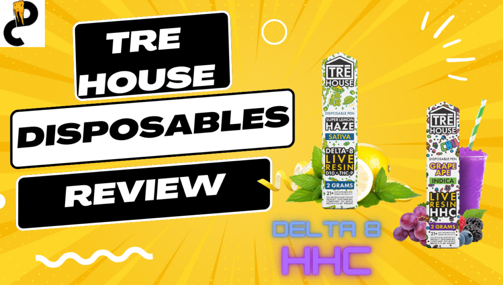 trehouse-disposables-review