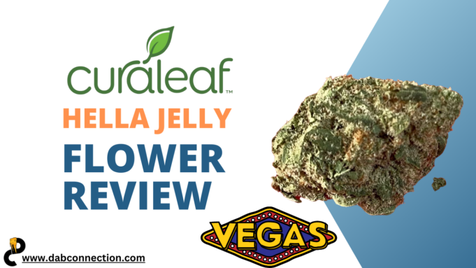 Curaleaf Hella Jelly Flower Review – Chill as Hell Curaleaf flower review