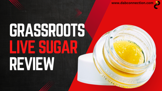 Grassroots Live Sugar Review – Long-lasting and Pleasant Taste grassroots live sugar review