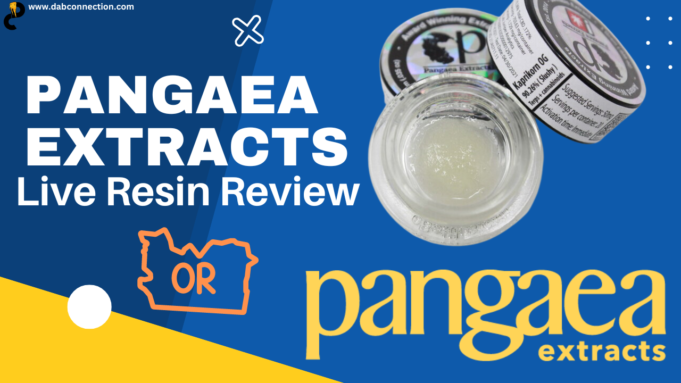 Pangaea Extracts Live Resin Review – Great Effects pangaea extract review
