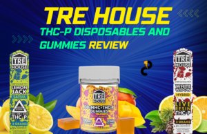 tre house disposables thcp review