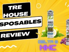 TRE House D8/HHC Disposables Review – Tasty and Easy to Use