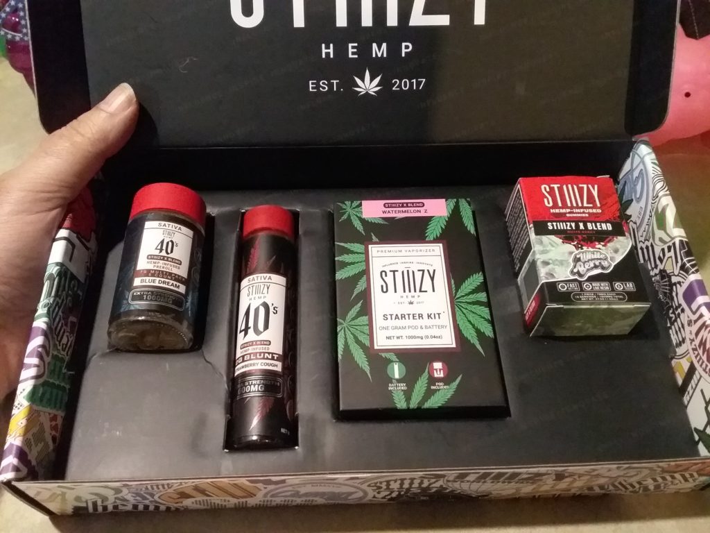 Stiiizy X-Blend - Pod Starter Kit - 1G - Blue Dream (Sativa)