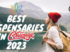 Best dispensaries in Chicago 2023 best dispensaries Chicago