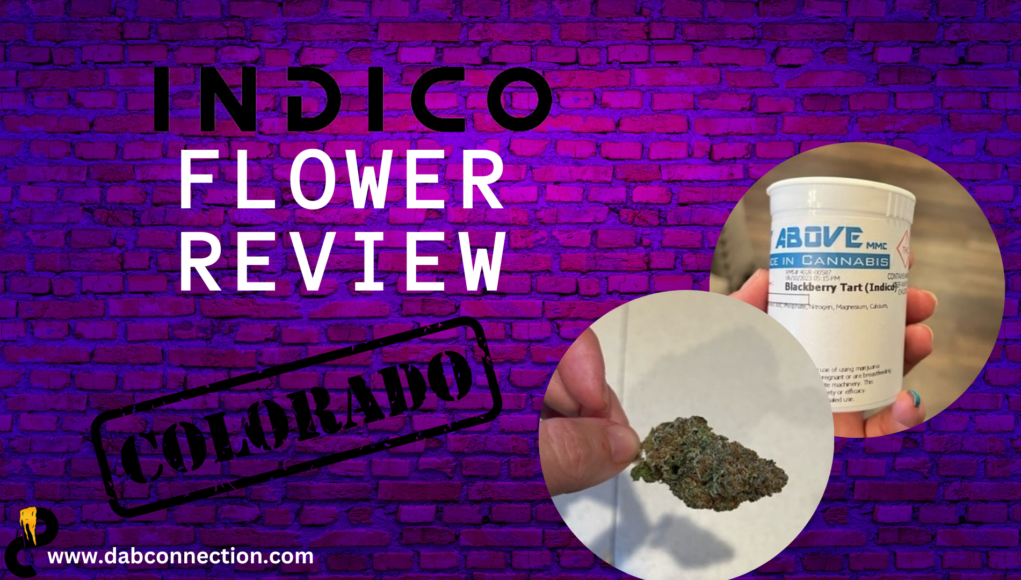 indico-flower-review indico flower review