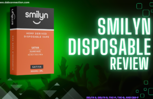 smilyn disposable review