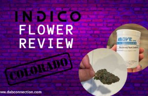 indico flower review