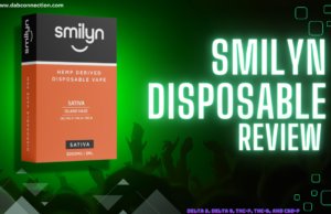 smilyn disposable review