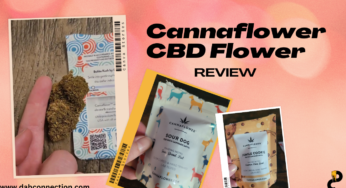 Cannaflower CBD Flower Review – A Flavor Bomb!