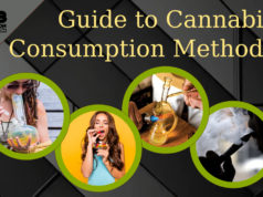 Comparison of Different Cannabis Consumption Mediums cannabis-consumption