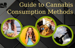 cannabis-consumption