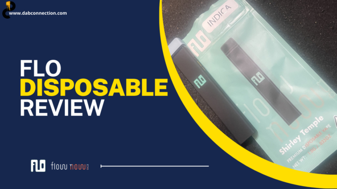 FLO Disposable Review – Top Tier Taste flo disposable review