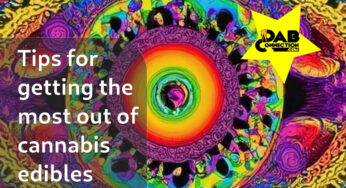 Tips To Get the Most From Cannabis Edibles