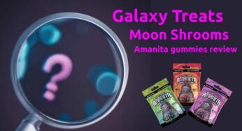 Galaxy Treats Moon Shrooms Amanita Gummies | Nil Potency