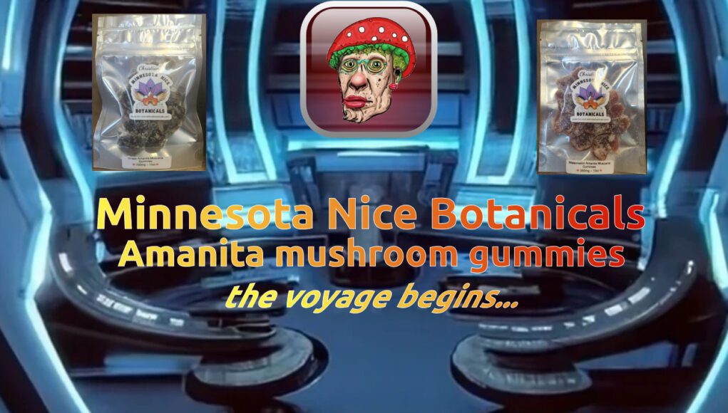 MN-Nice-Amanita-gummies-banner MN-Nice-Amanita-gummies-banner