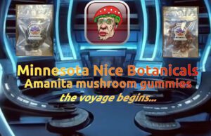 MN-Nice-Amanita-gummies-banner