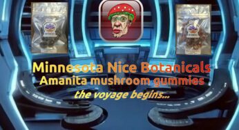 Minnesota Nice Botanicals Amanita Shroom Gummies | Insightful Effects