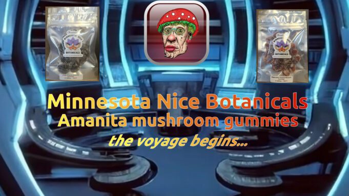 Minnesota Nice Botanicals Amanita Shroom Gummies | Insightful Effects MN-Nice-Amanita-gummies-banner