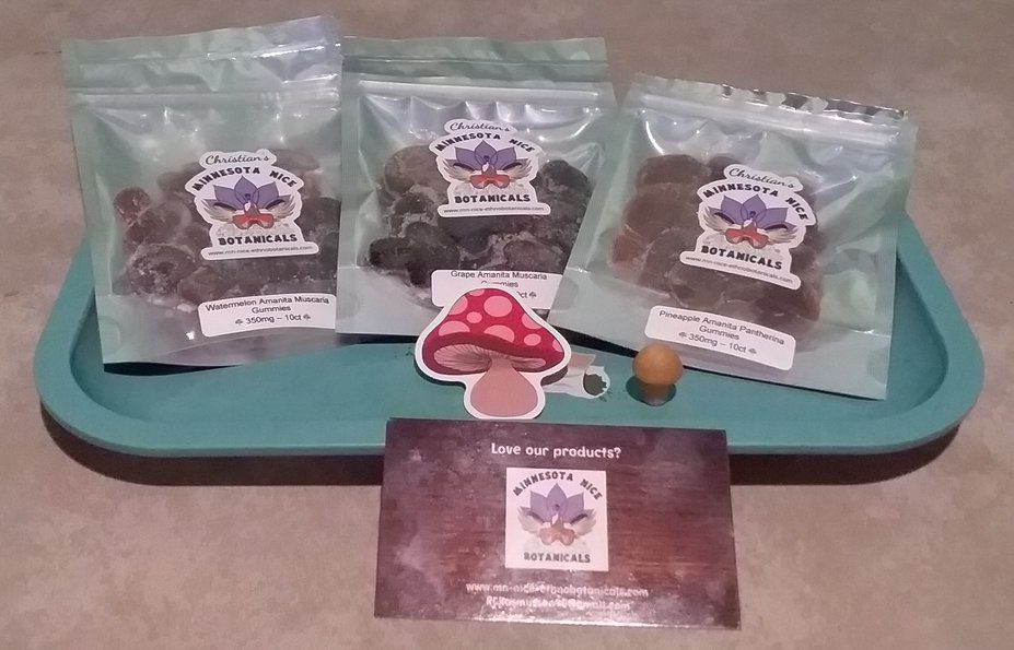 Minnesota-Nice-shroom-gummies-1