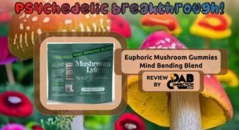 Mushroom Lyfe Euphoric Mushroom Gummies | Finally I Tripped!