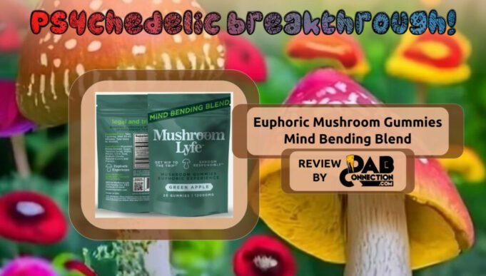Mushroom Lyfe Euphoric Mushroom Gummies | Finally I Tripped! Mushroom-Lyfe-Muscimol-Gummies-1021x580