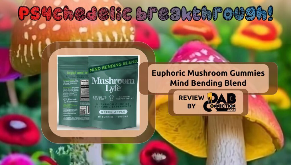 Mushroom-Lyfe-Muscimol-Gummies-1021x580 Mushroom-Lyfe-Muscimol-Gummies-1021x580