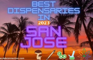 San Jose - Dispenseries