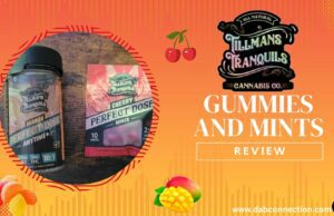 Tillmans Tranquils review