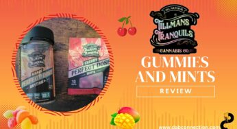 Tillmans Tranquils Gummies and Mints Review – Decent Effects and Flavor