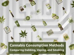 Cannabis Consumption Methods: Comparing Dabbing, Vaping, and Smoking cannabis-consumption-methods
