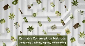 Cannabis Consumption Methods: Comparing Dabbing, Vaping, and Smoking