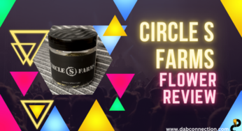 Circle S Farms Flower Review – Strong Effects