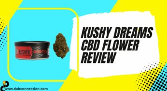 Kushy Dreams CBD Flower Review – Balanced Energy