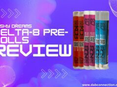 kushy dreams pre rolls review