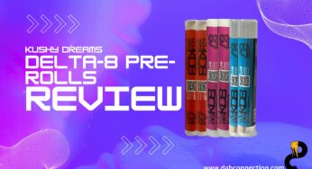 Kushy Dreams Delta-8 Pre-rolls Review – Pleasantly Balanced